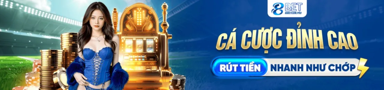 Đội ngũ vipvin khuyến mãi đang họp bàn chiến lược phát triển